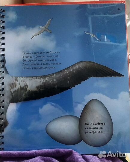 Книга 2D волшебные страницы птицы