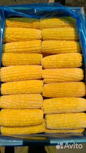 Кукуруза в початках замороженная