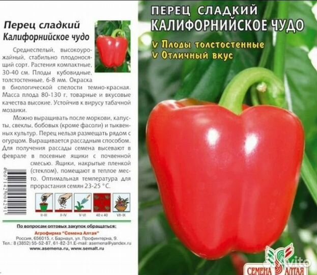 Рассада перца калифорнийское чудо