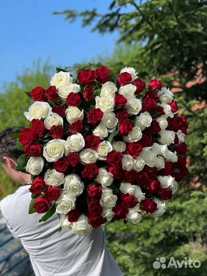 Розы голландские с доставкой 101 шт