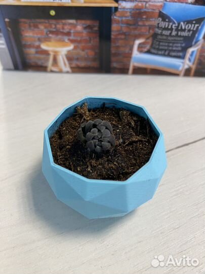 Кашпо на 3D принтере для суккулентов