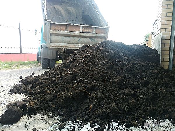 Перегной