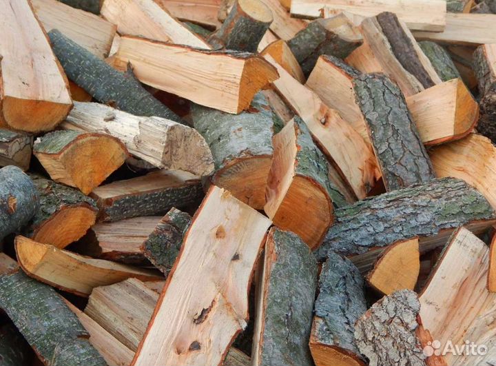 Дрова осина