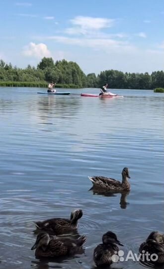 Кататься на сапбордах