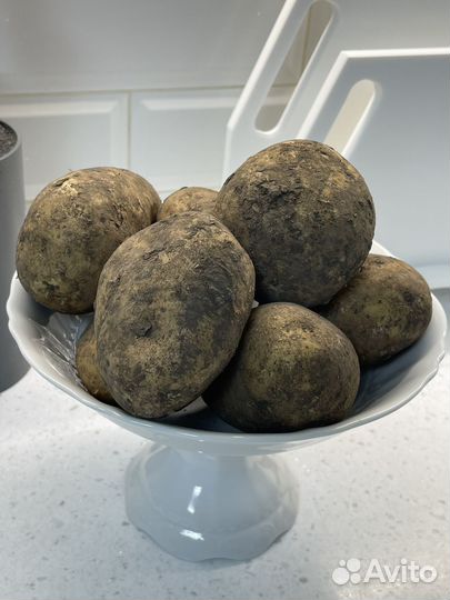 Продам картофель