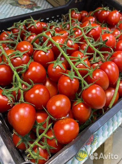 Доставка овощей бакалеи мяса