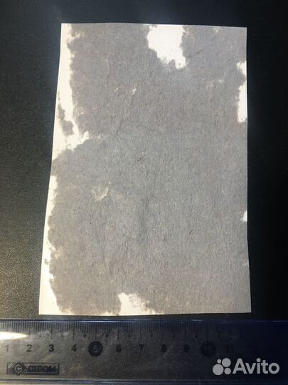 Первоклассник цветы школа фото СССР