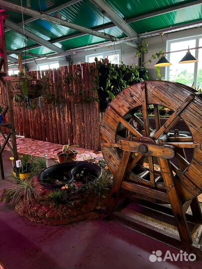 Прогулки, фотосессии, мастер-классы в оранжерее