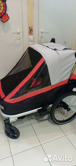 Велосипедный прицеп для двоих детей