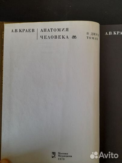 Анатомия