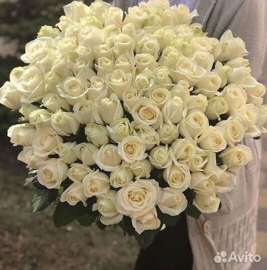 Розы Букеты Цветы Розы 31 101 151 201 Доставка