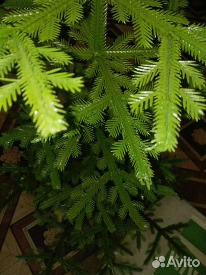 Новогодняя елка СССР