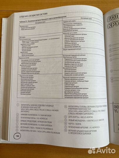 Атлас-расскраска Билич, Зигалова