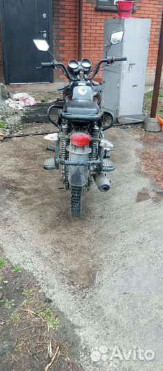 Alpha Shuriken edition