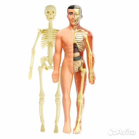 Научный опыт