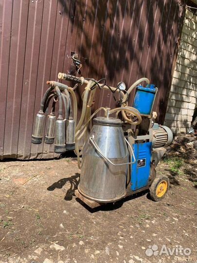 Доильный аппарат для коров бу