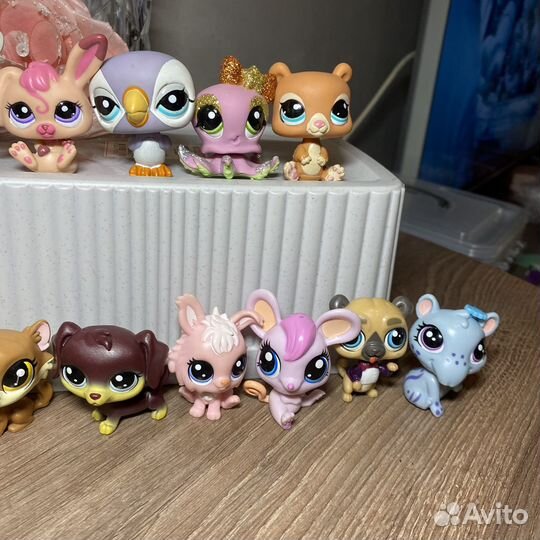 Littlest pet shop