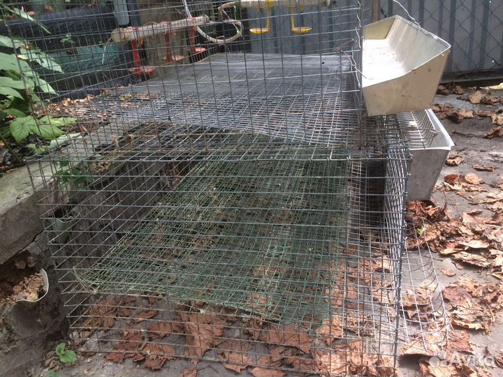 Клетки для перепелов бу