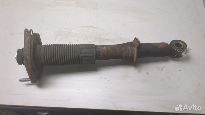 Амортизатор подвески Toyota Corolla Verso, 2005