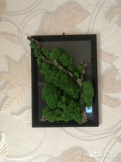 Картина из натурального стабилизированного мха