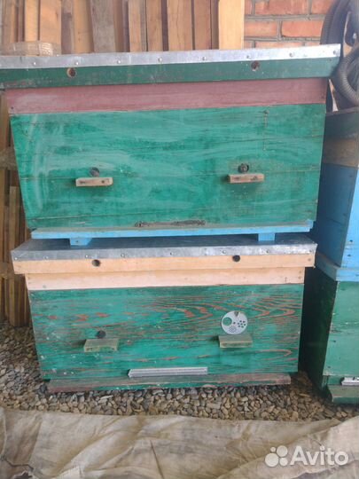 Продам улья для пчел