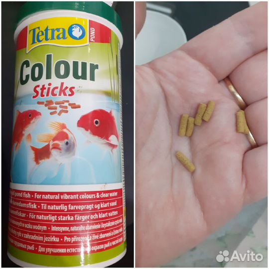 Корм для рыб