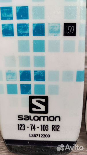 Горные лыжи