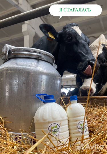 Реализация молока коровьего сырого