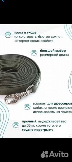 Поводки/ошейники/дождевик