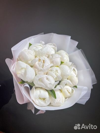 Букет цветов Пионы 9/15/25/51 с доставкой