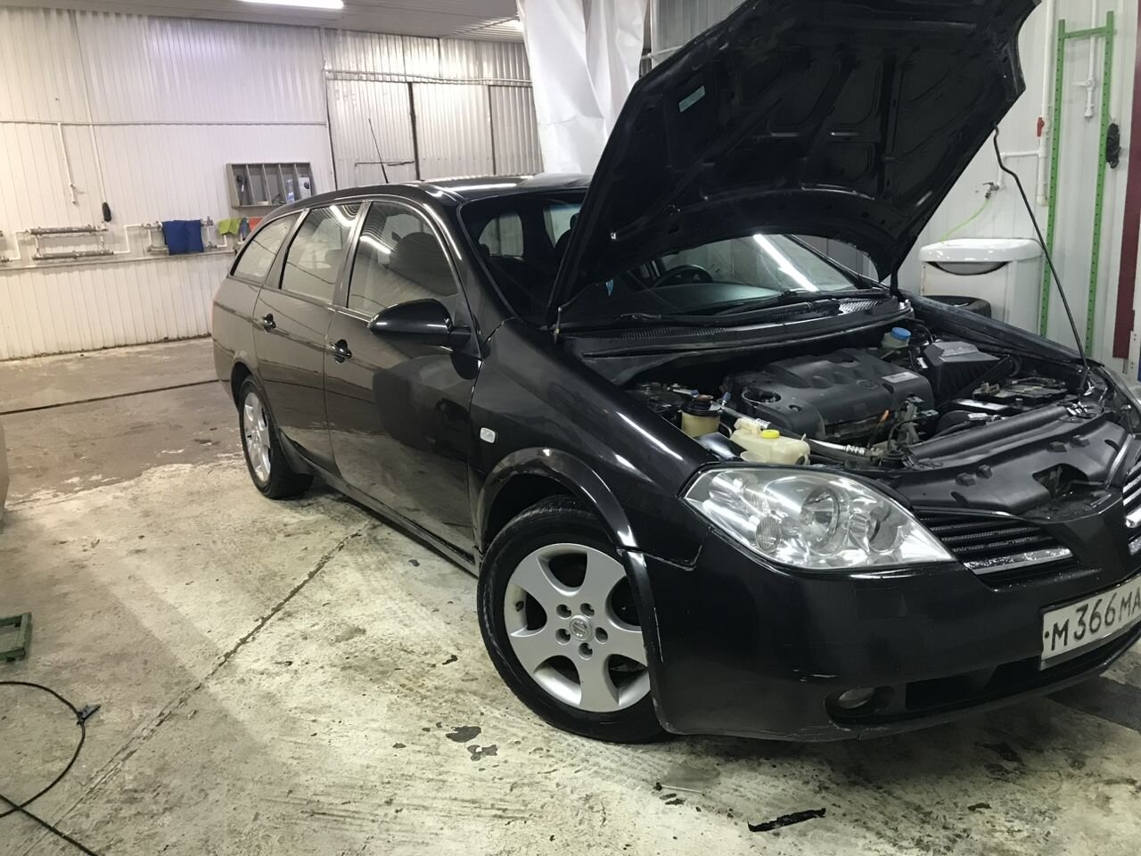 Nissan Primera: фото владельца