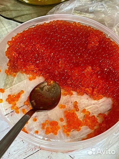 Красная икра форели