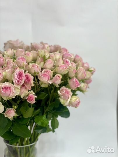 Букет кустовая роза цветы доставка Flowers124