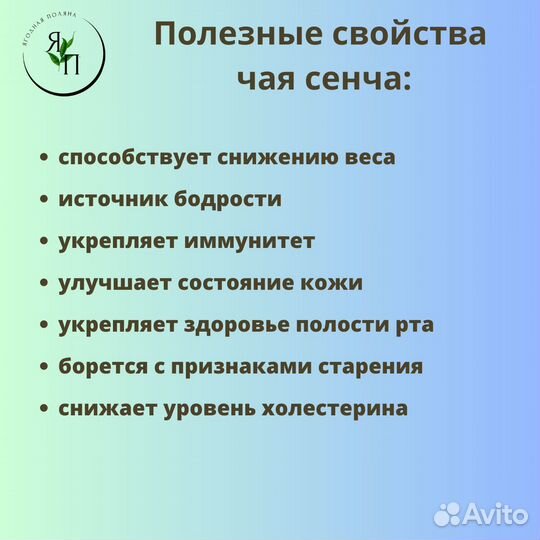 Зеленый чай с жасмином