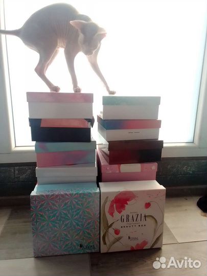 Картонные коробки бесплатно