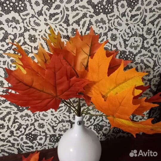 Листья кленовые