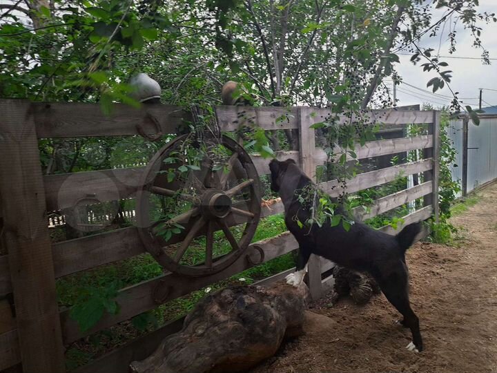 Дом 106 м² на участке 13 сот.