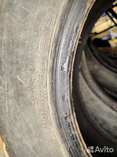 Roadstone Winguard Ice 195/65 R15