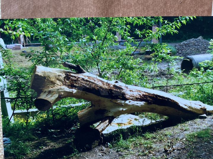 Участок 13 сот. (ИЖС)