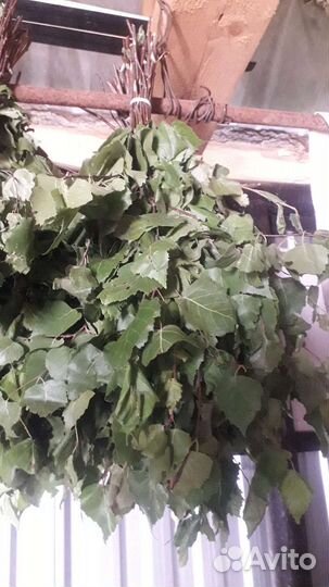 Веники для бани