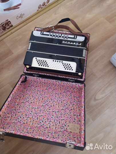 Баян огонек 2