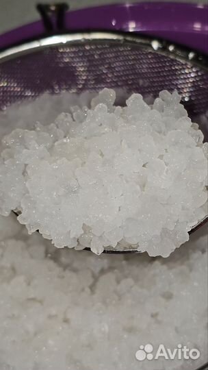 Индийский морской рис