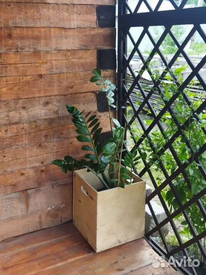 Ящик деревянный для хранения и перевозки