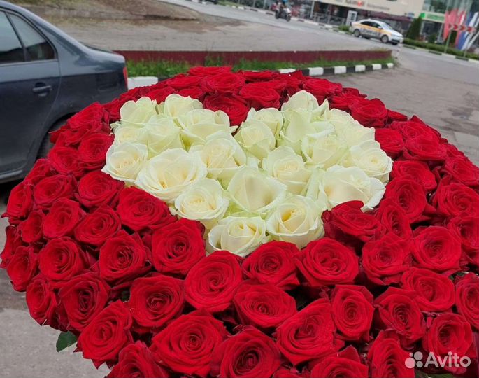 Розы 101 шт