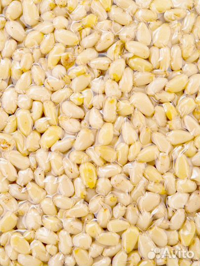 Орех кедровый алтайский оптом