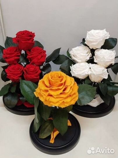 Подарок на новый год / Роза в колбе