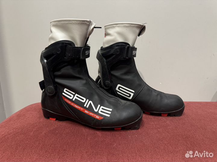 Лыжные ботинки Spine Concept Skate (38 р)