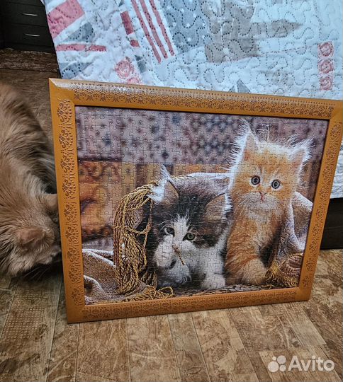 Картина лабрадор, кошки, цветы