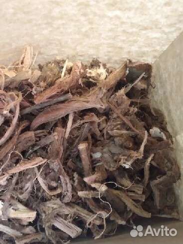 Красный корень копеечник чайный, 100г