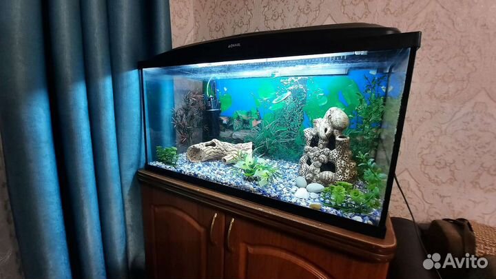 Продам аквариум с тумбой